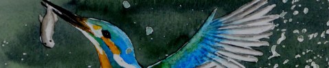 Birds in watercolour_ST